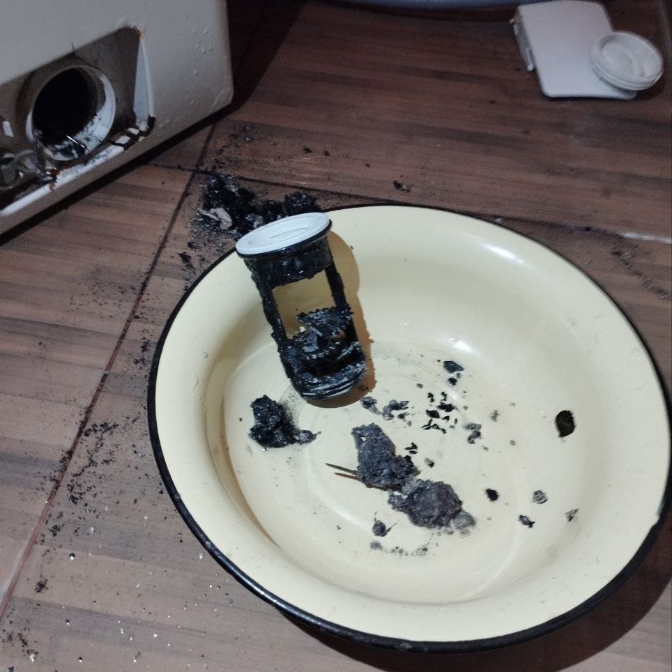 chystka-slyvnoy-kamer-